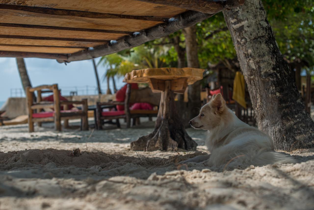 Хостел Soul Breeze Backpackers Diani Диани-Бич Экстерьер фото